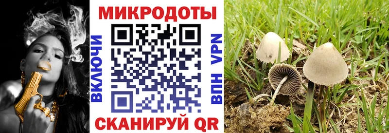 blacksprut маркетплейс  Хотьково  Галлюциногенные грибы мицелий 