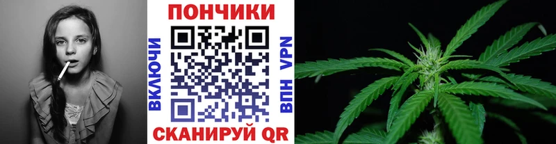 omg маркетплейс  где найти наркотики  Хотьково  Канабис семена 